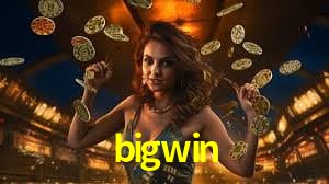 Bonus Features bigwin