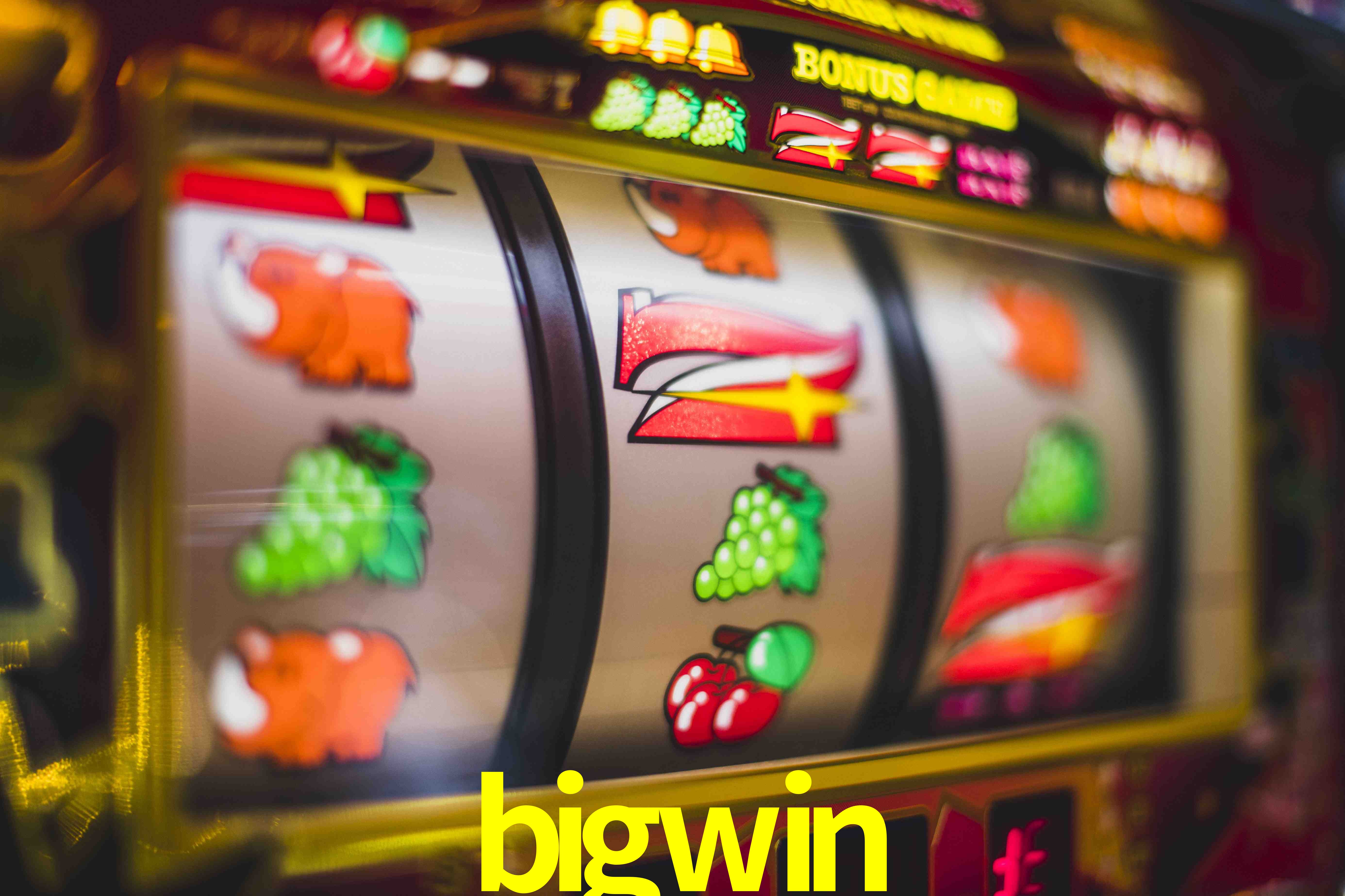 Sports Statistics bigwin