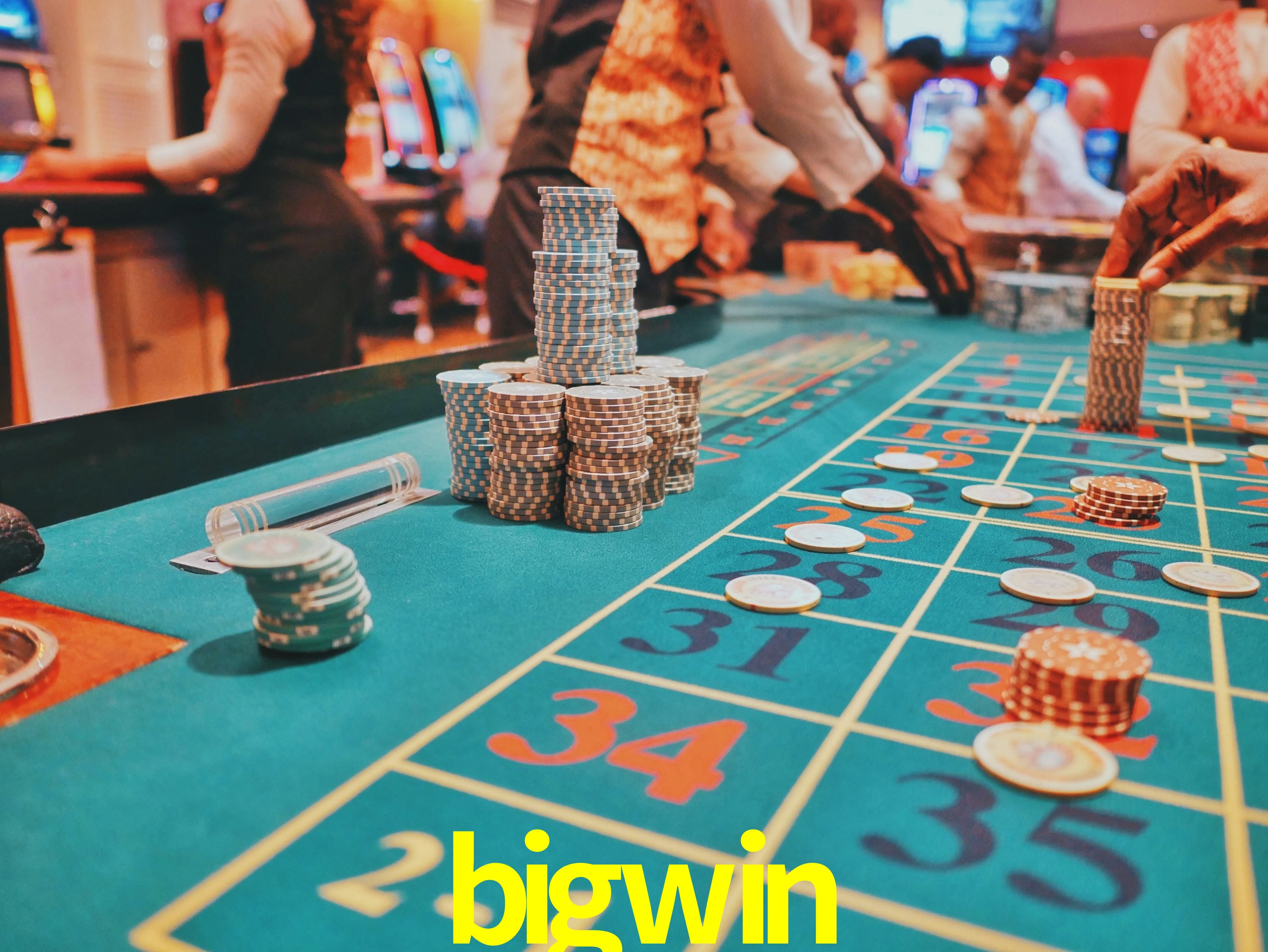 Programa VIP bigwin